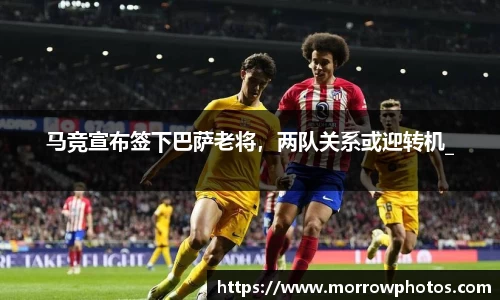 纳米体育官网
