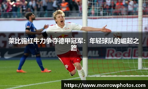 纳米体育官网