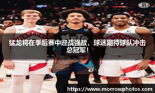 猛龙将在季后赛中迎战强敌，球迷期待球队冲击总冠军！