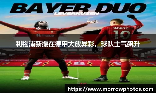 纳米体育APP