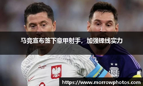 纳米体育网址