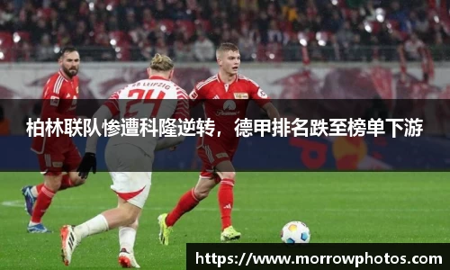 纳米体育官网