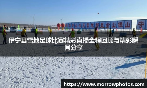 纳米体育官网