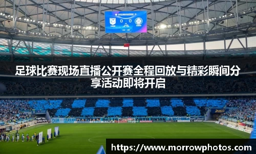 纳米体育官网