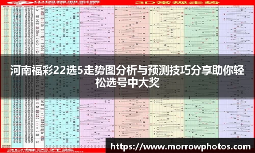 纳米体育网址