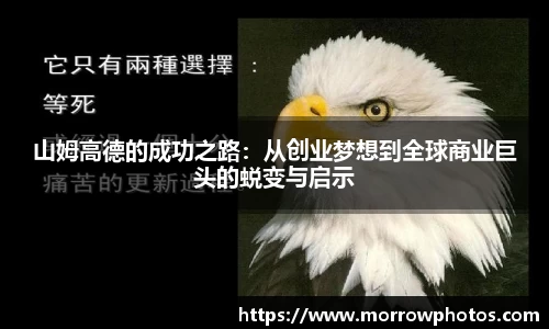 纳米体育官网