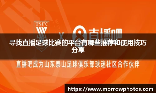 纳米体育网址