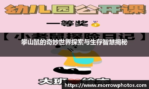纳米体育注册