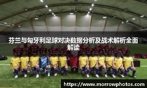 芬兰与匈牙利足球对决数据分析及战术解析全面解读