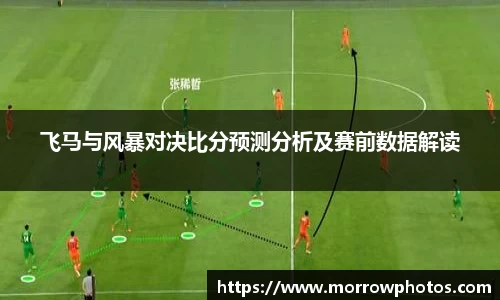 飞马与风暴对决比分预测分析及赛前数据解读