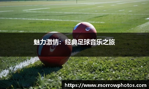 魅力激情：经典足球音乐之旅